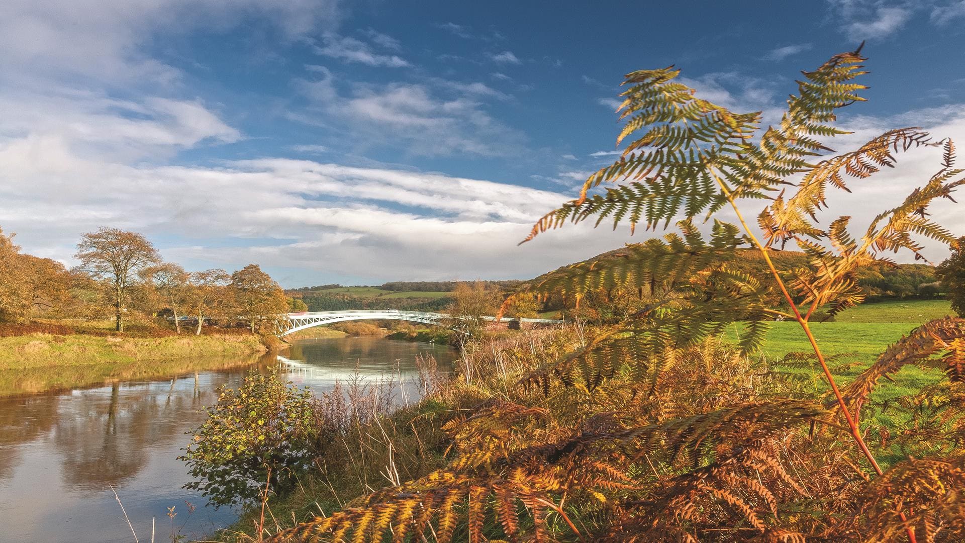 new year break in south wales wye valley